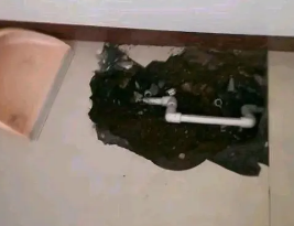 互助卫生间测漏水多少钱